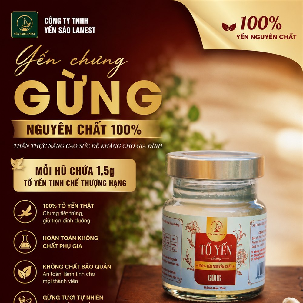 Tổ Yến Chưng Gừng Nguyên Chất 100%