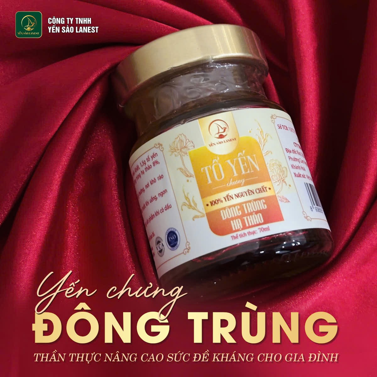 Yến Sào Cho Bà Bầu: Dùng Đúng Cách, Đúng Liều Lượng