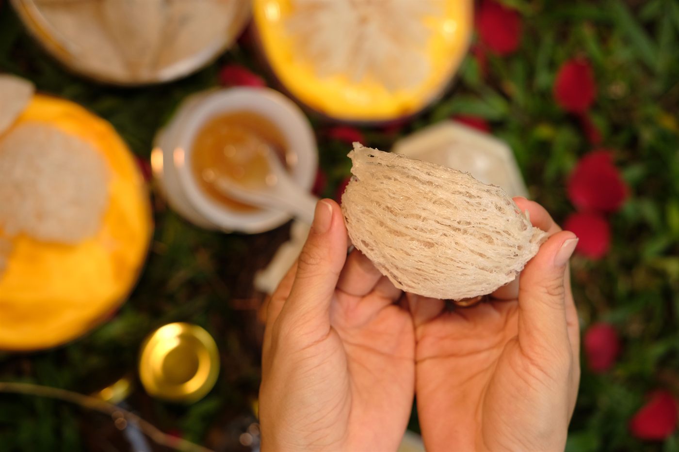 Tổ yến thô nguyên chất trên tay