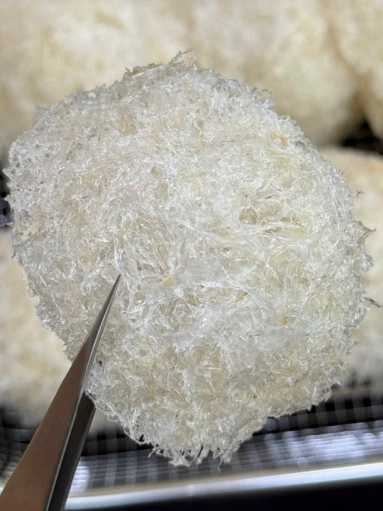 Cận cảnh sợi yến tinh chế