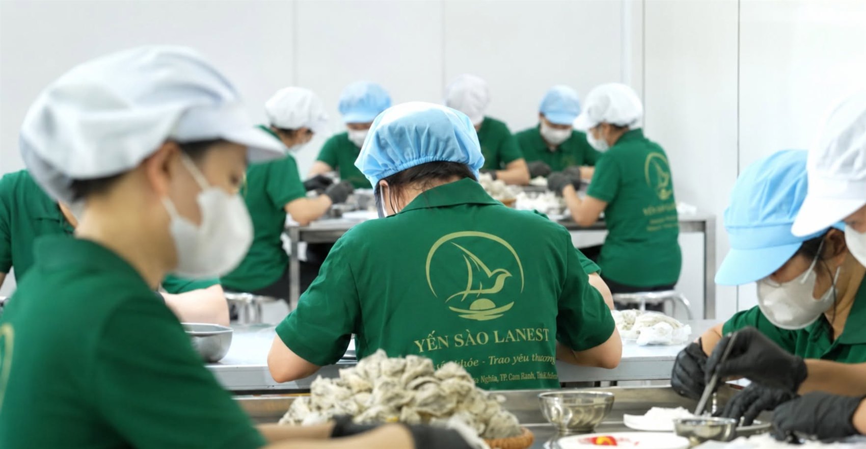 Xưởng sơ chế yến sào Lanest